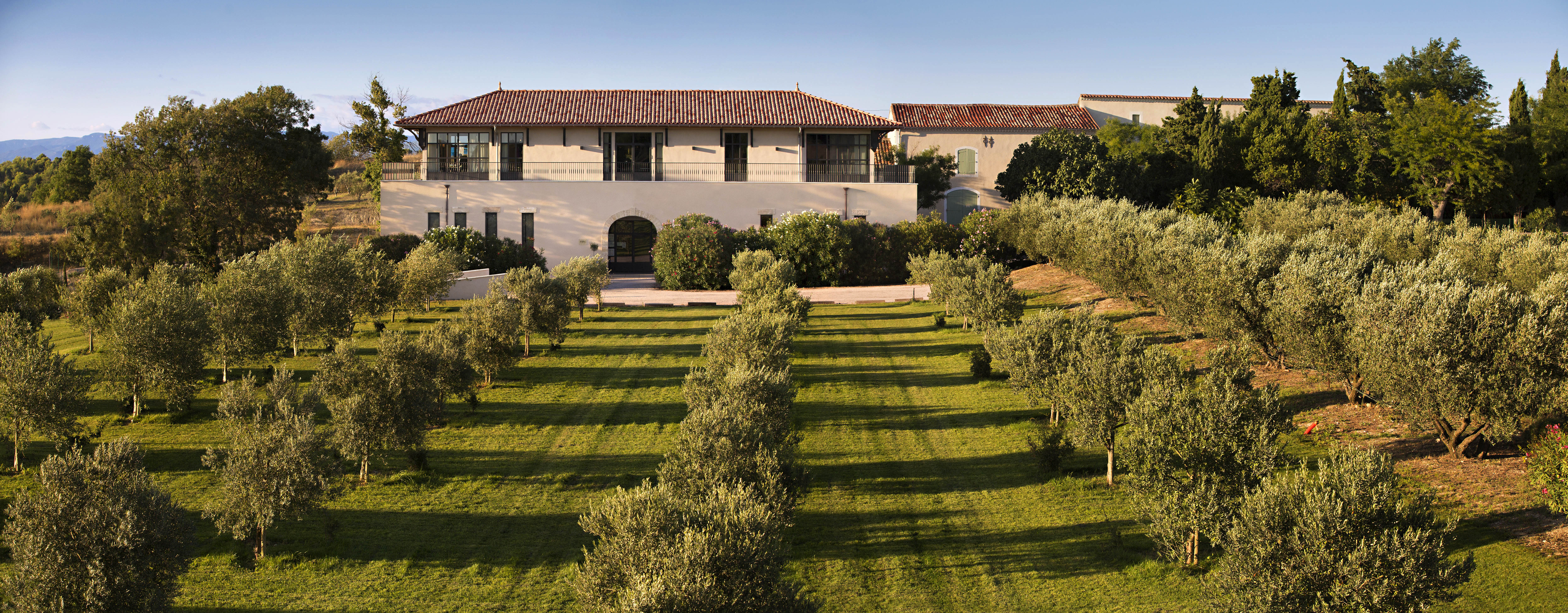 Mas des Mas Pellegrini