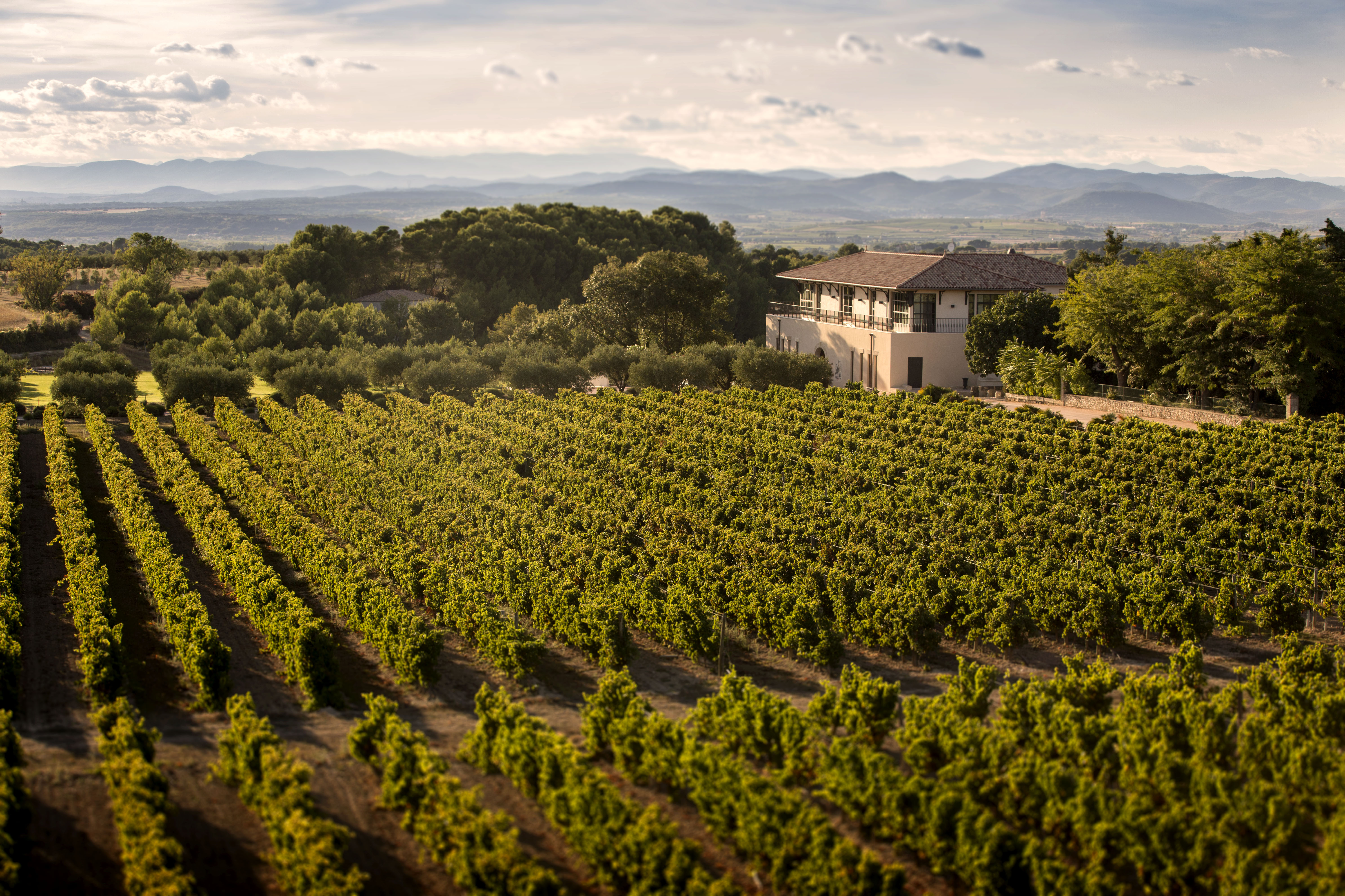 Terrasse Du Moulinas Pellegrini