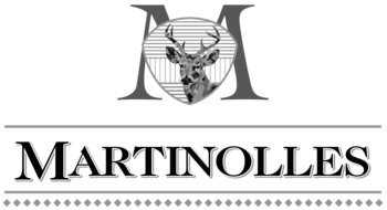 Château Martinolles